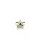 Star Claw (15mm)